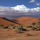 Sossus Vlei