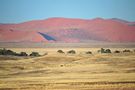 Sossus Vlei by  cathy Blatt