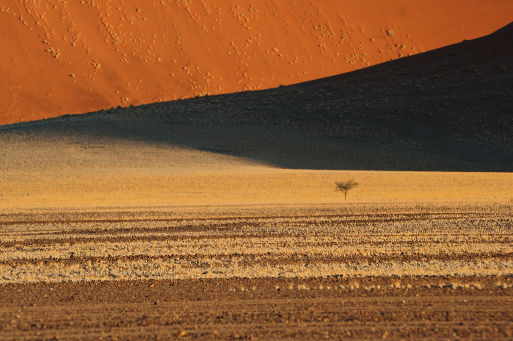 Sossus Vlei