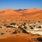 Sossus Vlei / Death Vlei