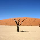 Sossus Vlei - Namibia