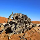 Sossusflei , Namibia