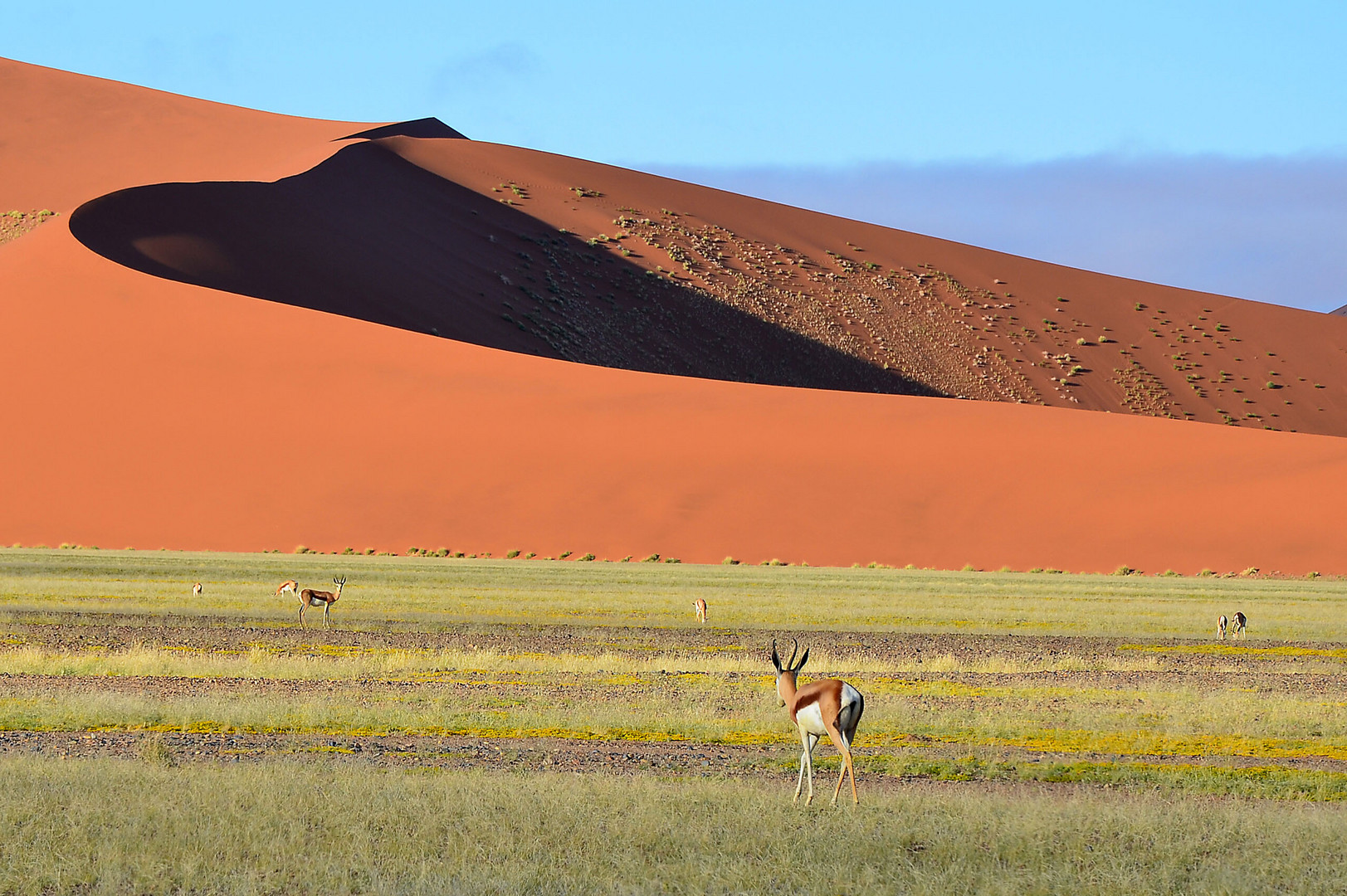 Sossusvlei 01