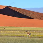 Sossusvlei 01