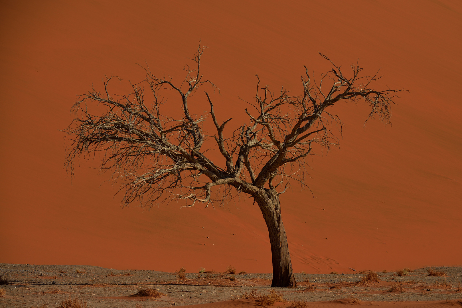 Sossusvlei 03