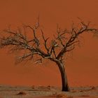 Sossusvlei 03