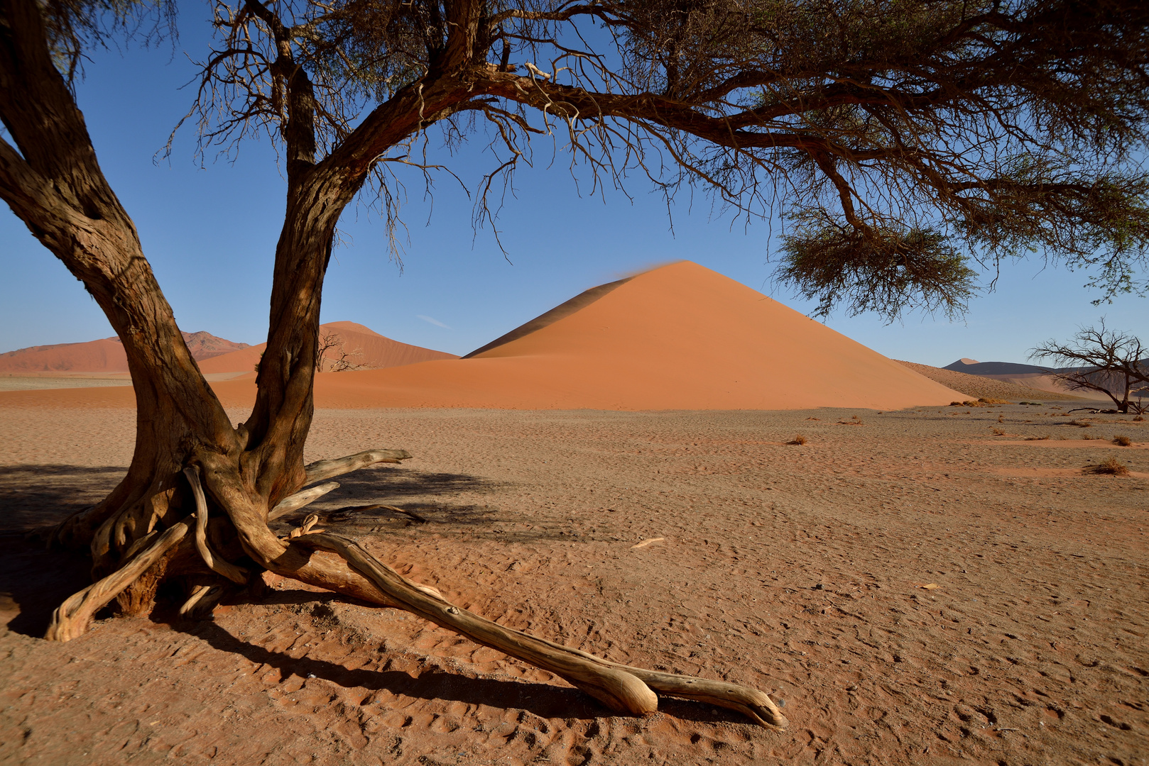 Sossusvlei 04