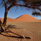 Sossusvlei 04