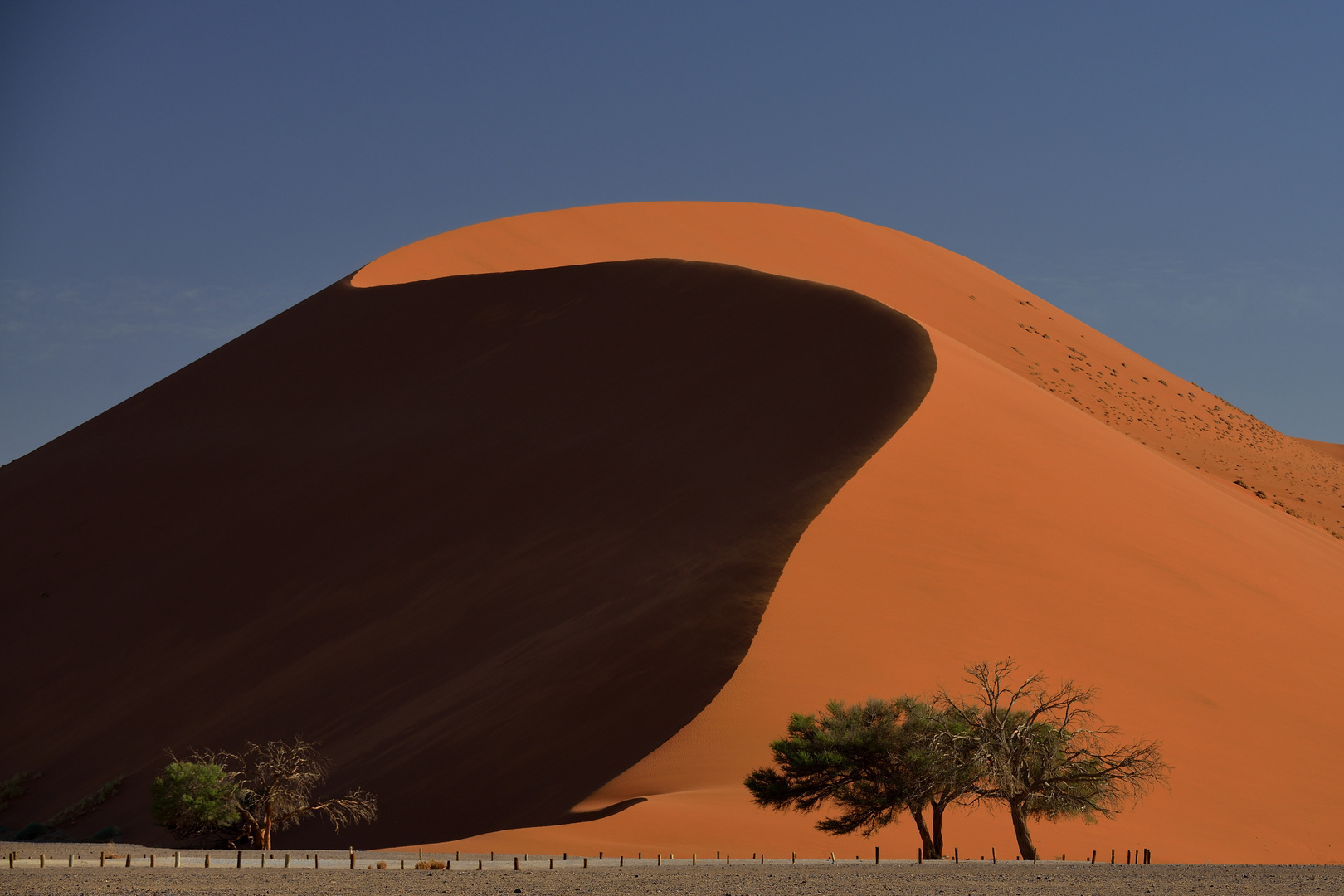 Sossusvlei 05