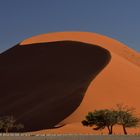 Sossusvlei 05