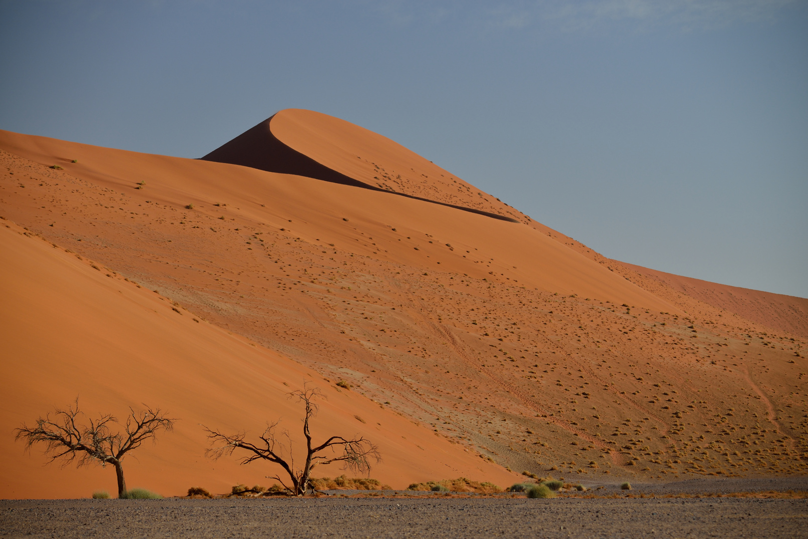 Sossusvlei 06