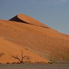 Sossusvlei 06