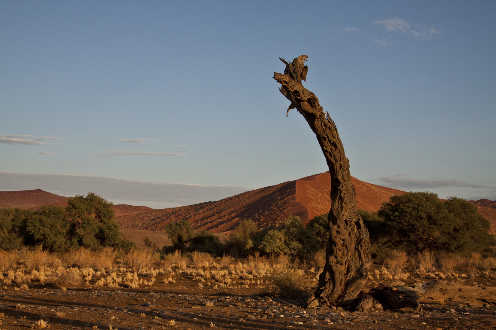 Sossusvlei