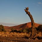 Sossusvlei