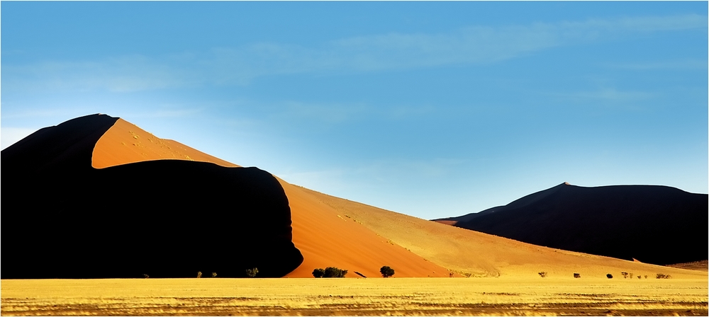 Sossusvlei # 1