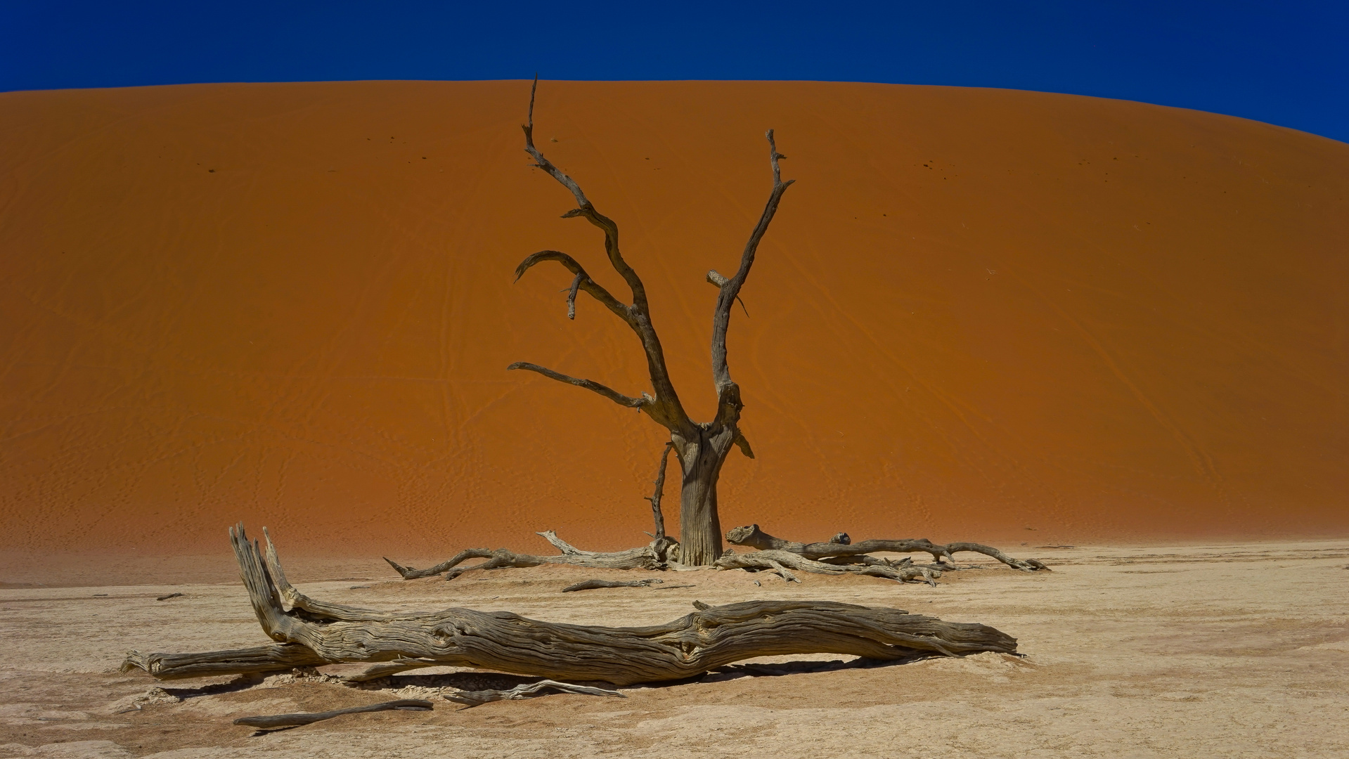 Sossusvlei