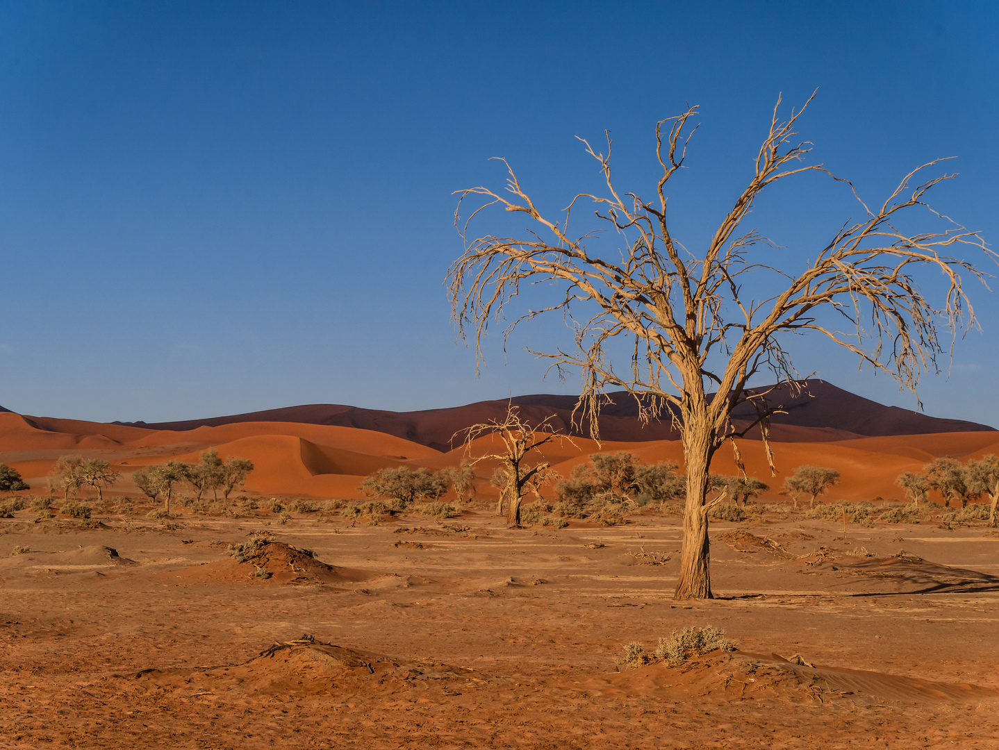 Sossusvlei