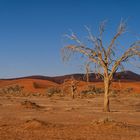 Sossusvlei