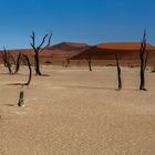 Sossusvlei