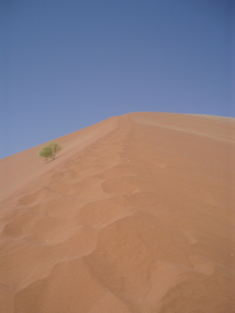 Sossusvlei