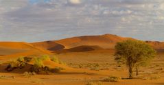 Sossusvlei