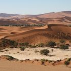 Sossusvlei 2