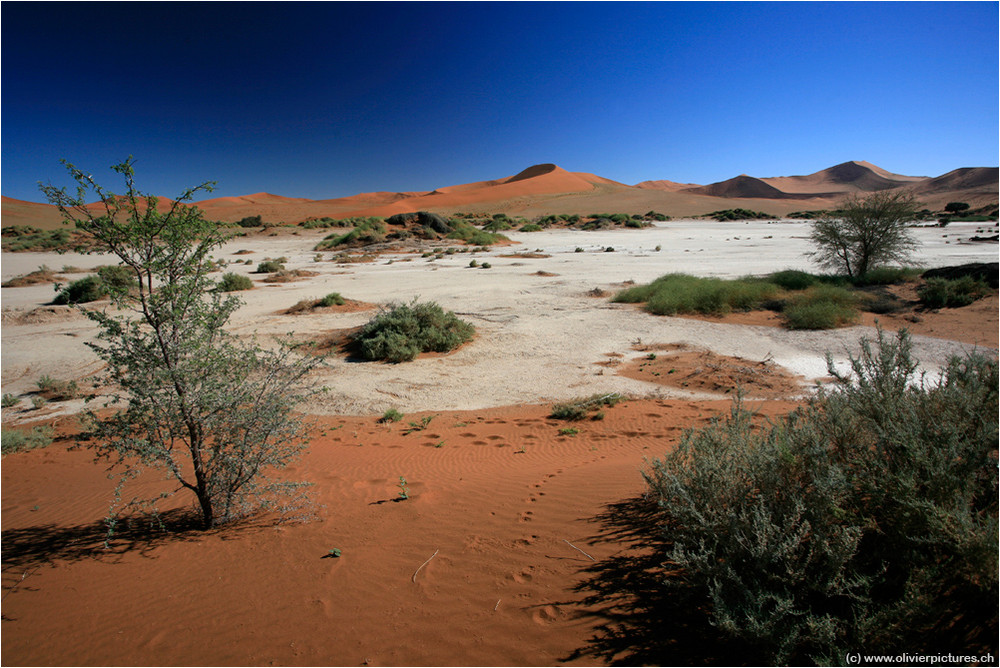 Sossusvlei