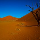 Sossusvlei