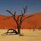 sossusvlei