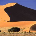 Sossusvlei 3