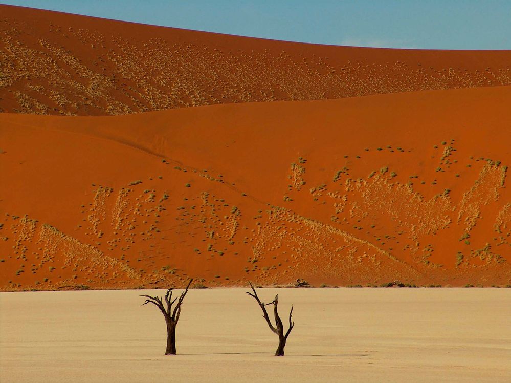 Sossusvlei