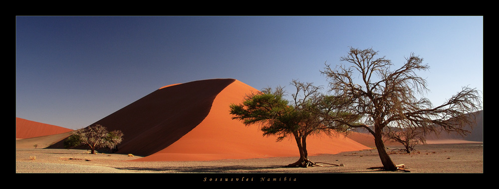 Sossusvlei