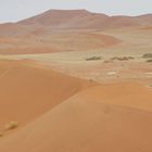 Sossusvlei