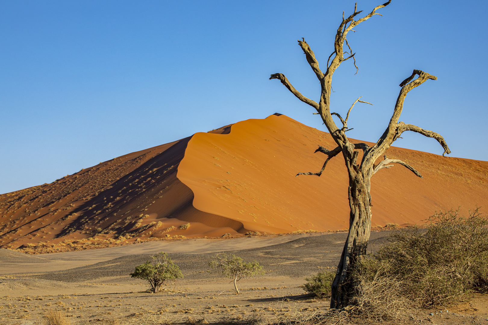 Sossusvlei