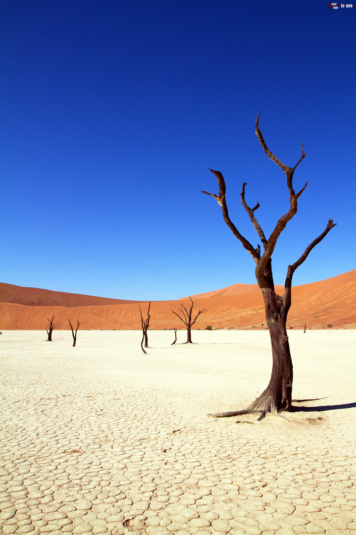 Sossusvlei...