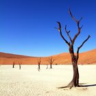 Sossusvlei...