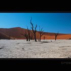 Sossusvlei