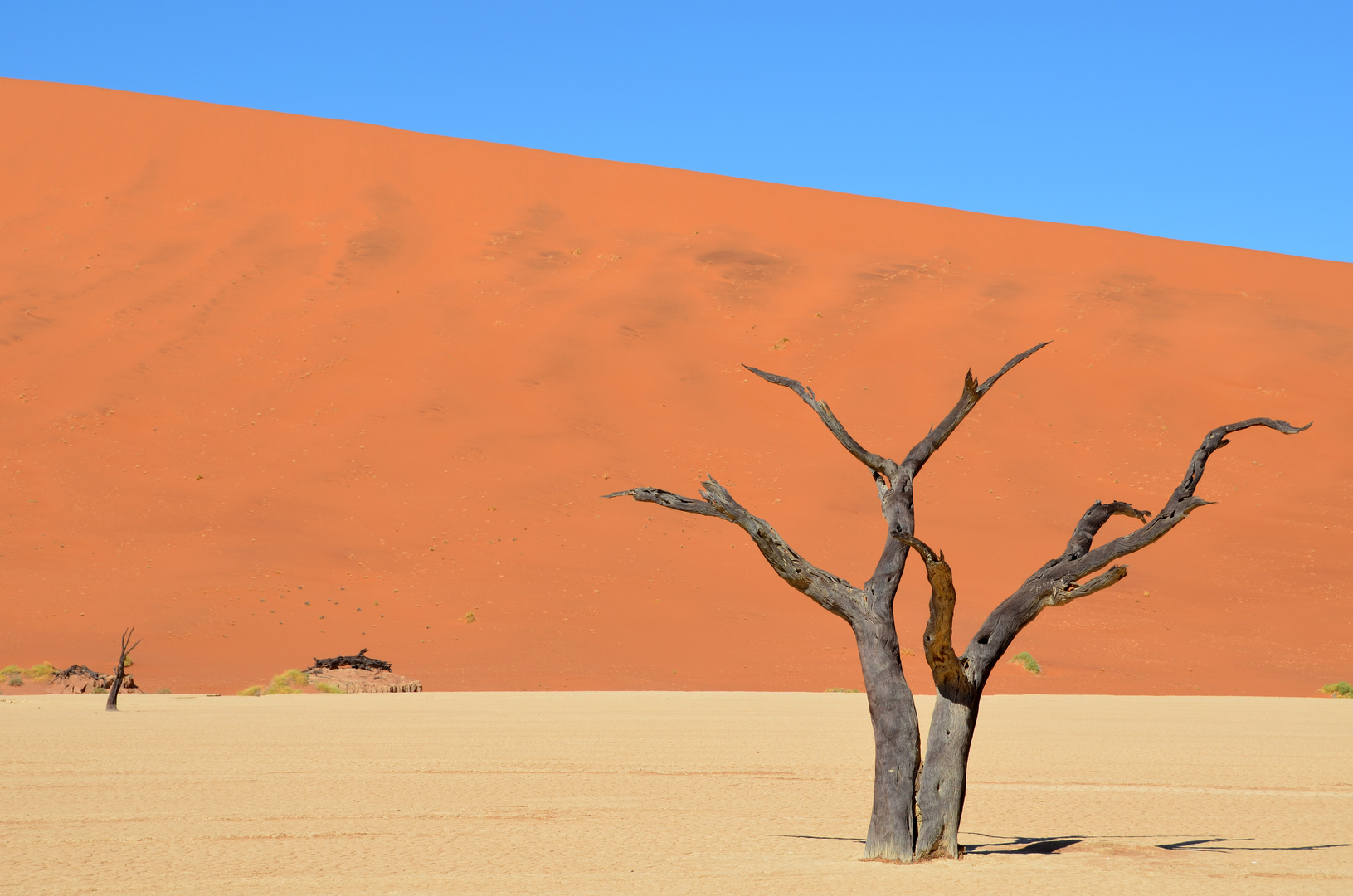 Sossusvlei