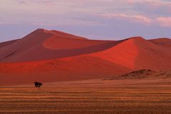 Sossusvlei