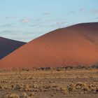 Sossusvlei