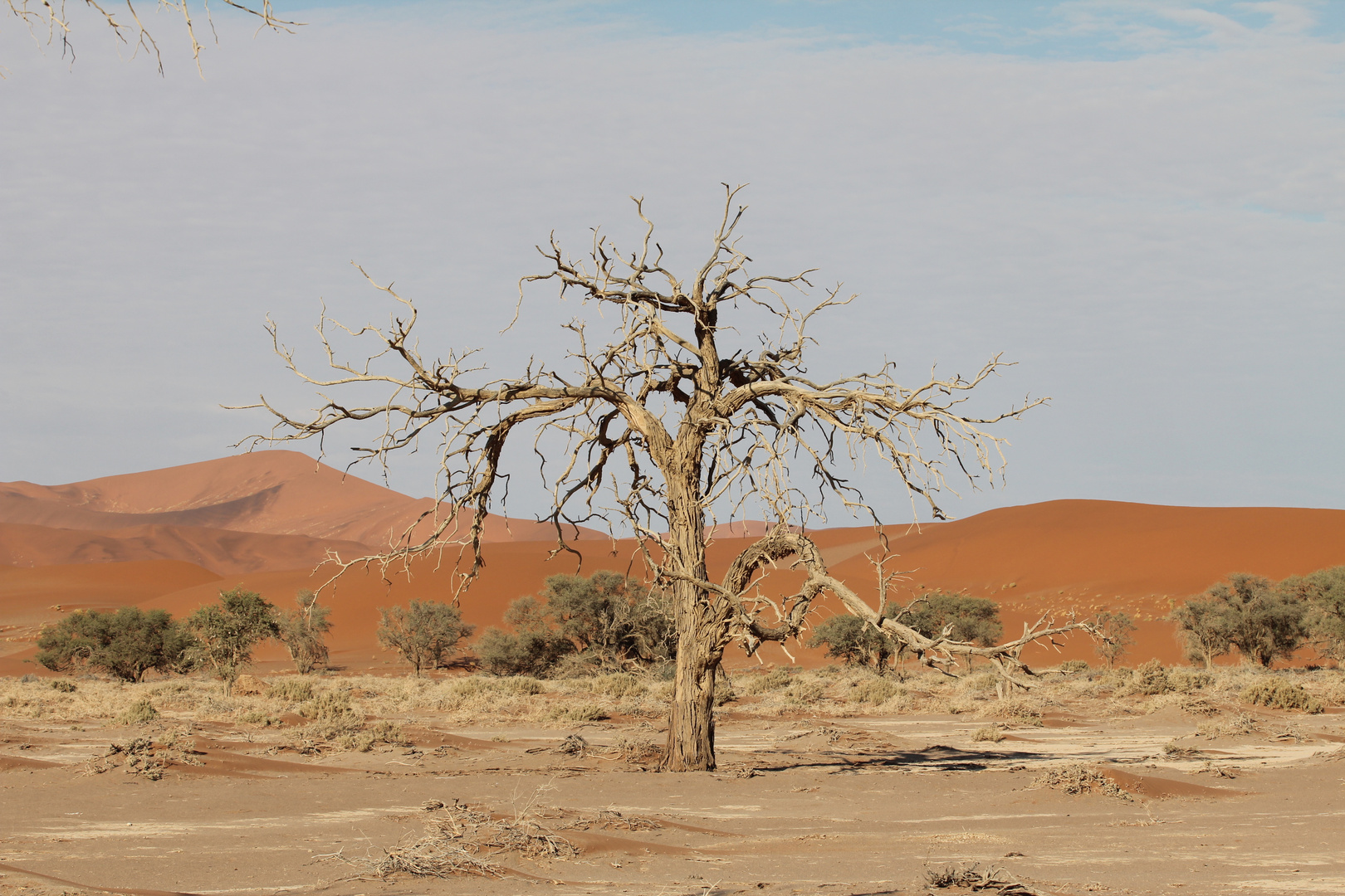 Sossusvlei