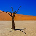 Sossusvlei