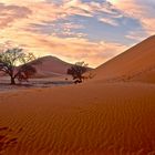 Sossusvlei