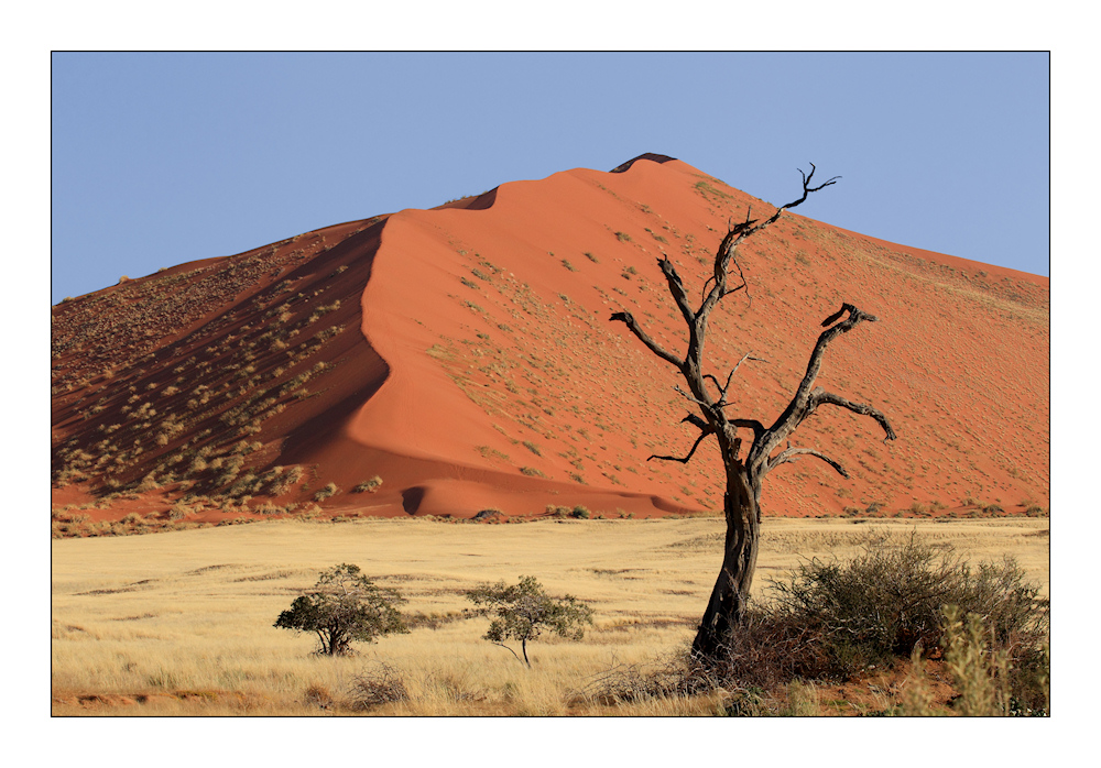 Sossusvlei