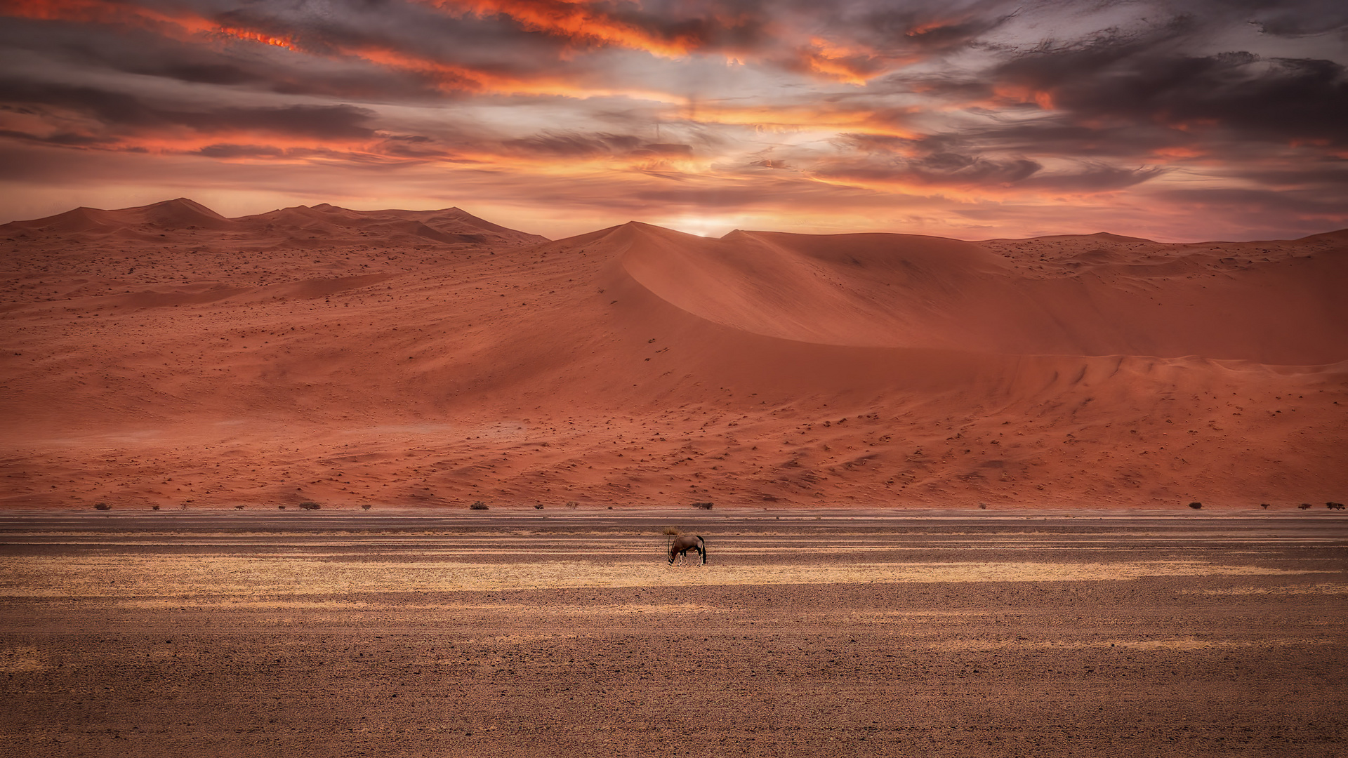 Sossusvlei Abendstimmung