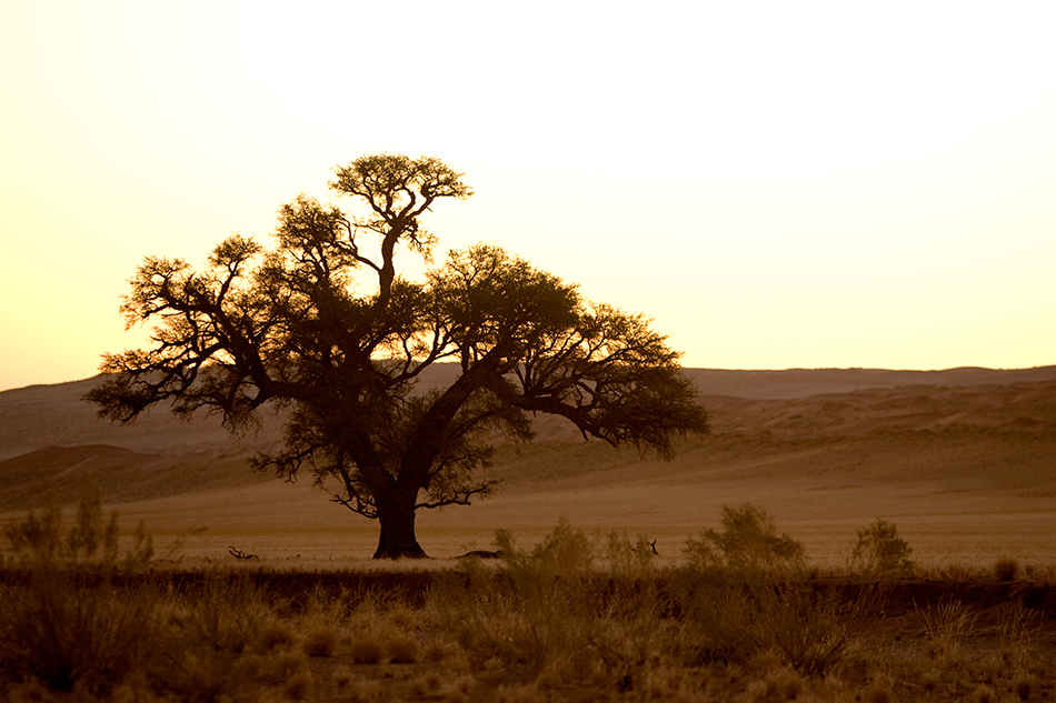 Sossusvlei Africa