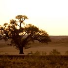 Sossusvlei Africa