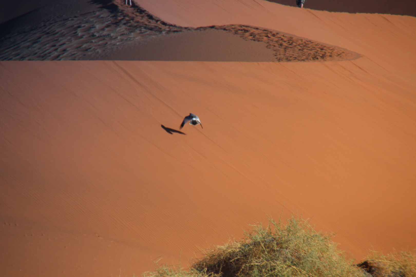 Sossusvlei am Morgen