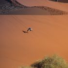 Sossusvlei am Morgen