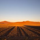 Sossusvlei am Morgen